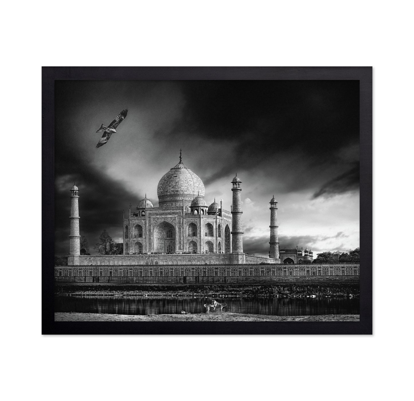 Taj Mahal River View