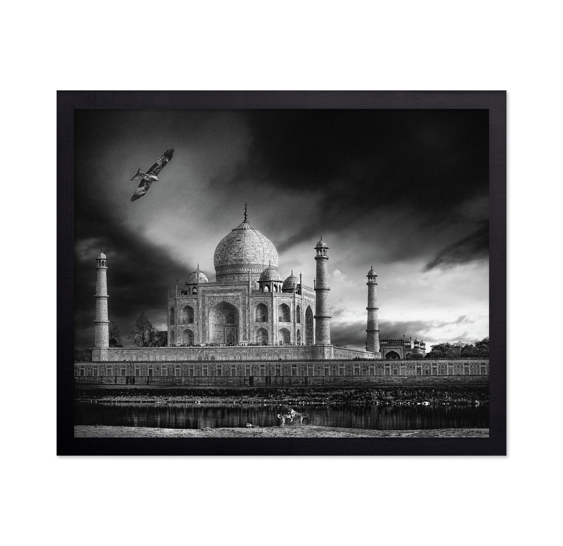 Taj Mahal River View
