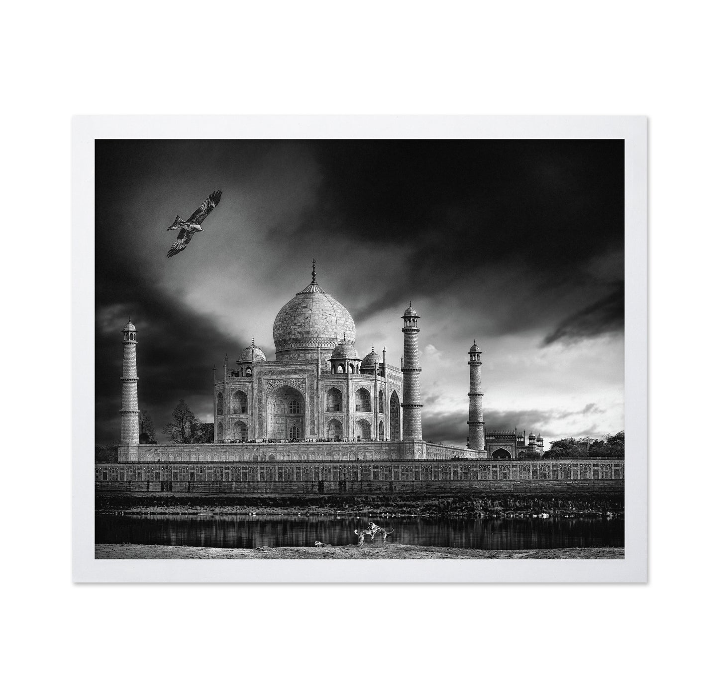 Taj Mahal River View