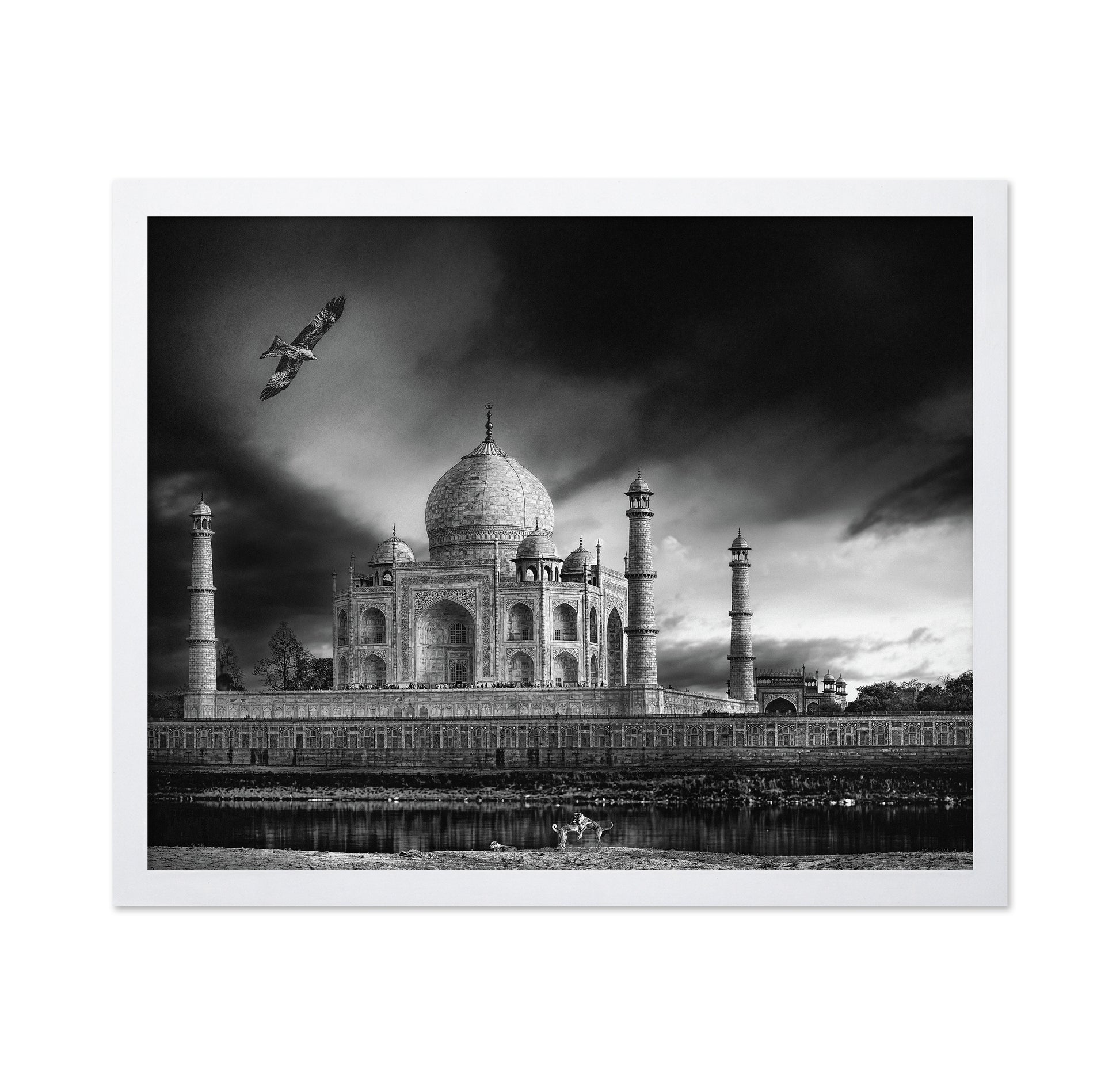 Taj Mahal River View