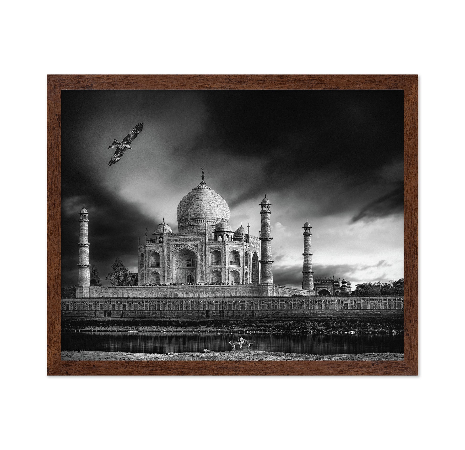 Taj Mahal River View