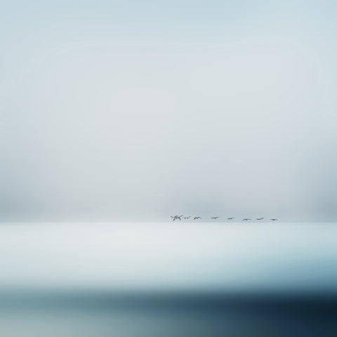 Geese Flying Over Water