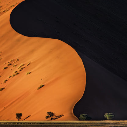 Desert Dune Light Shadow