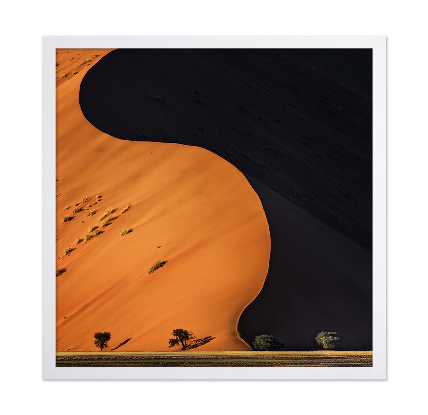 Desert Dune Light Shadow
