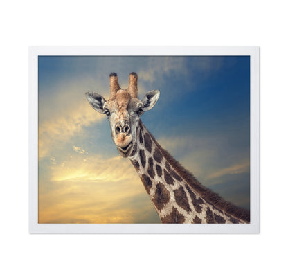Giraffe Portrait at Sunset