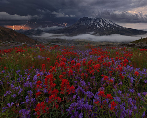 Storm Over Wildflower Mountain