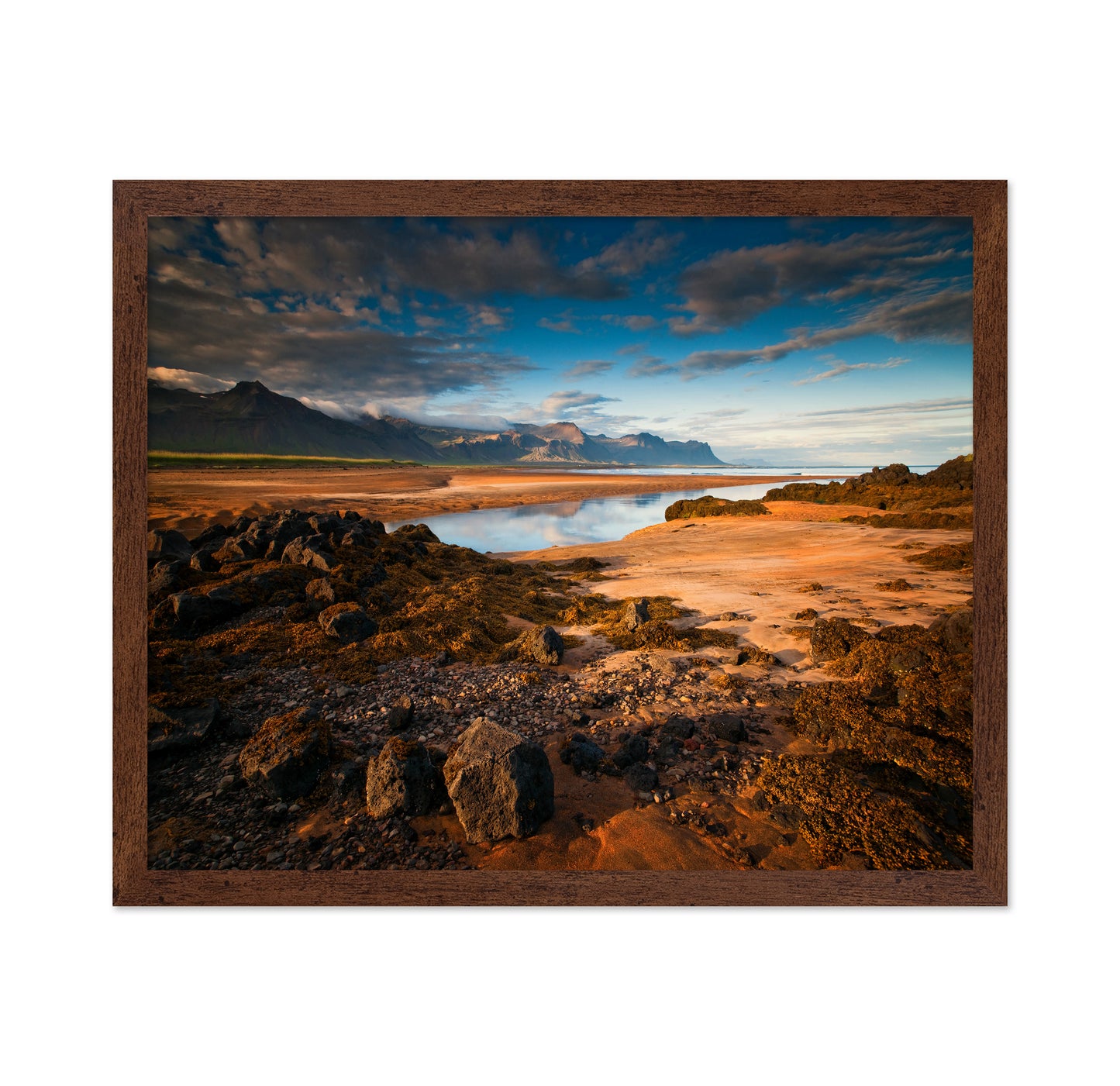 Coastal Mountains and Sandy Shore