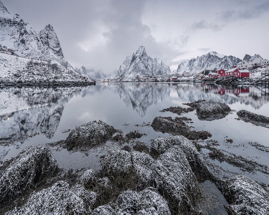 Reine Arctic Village Landscape