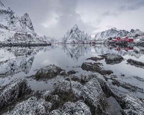 Reine Arctic Village Landscape