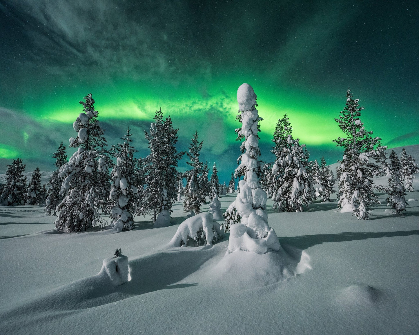 Northern Lights Snowy Fores