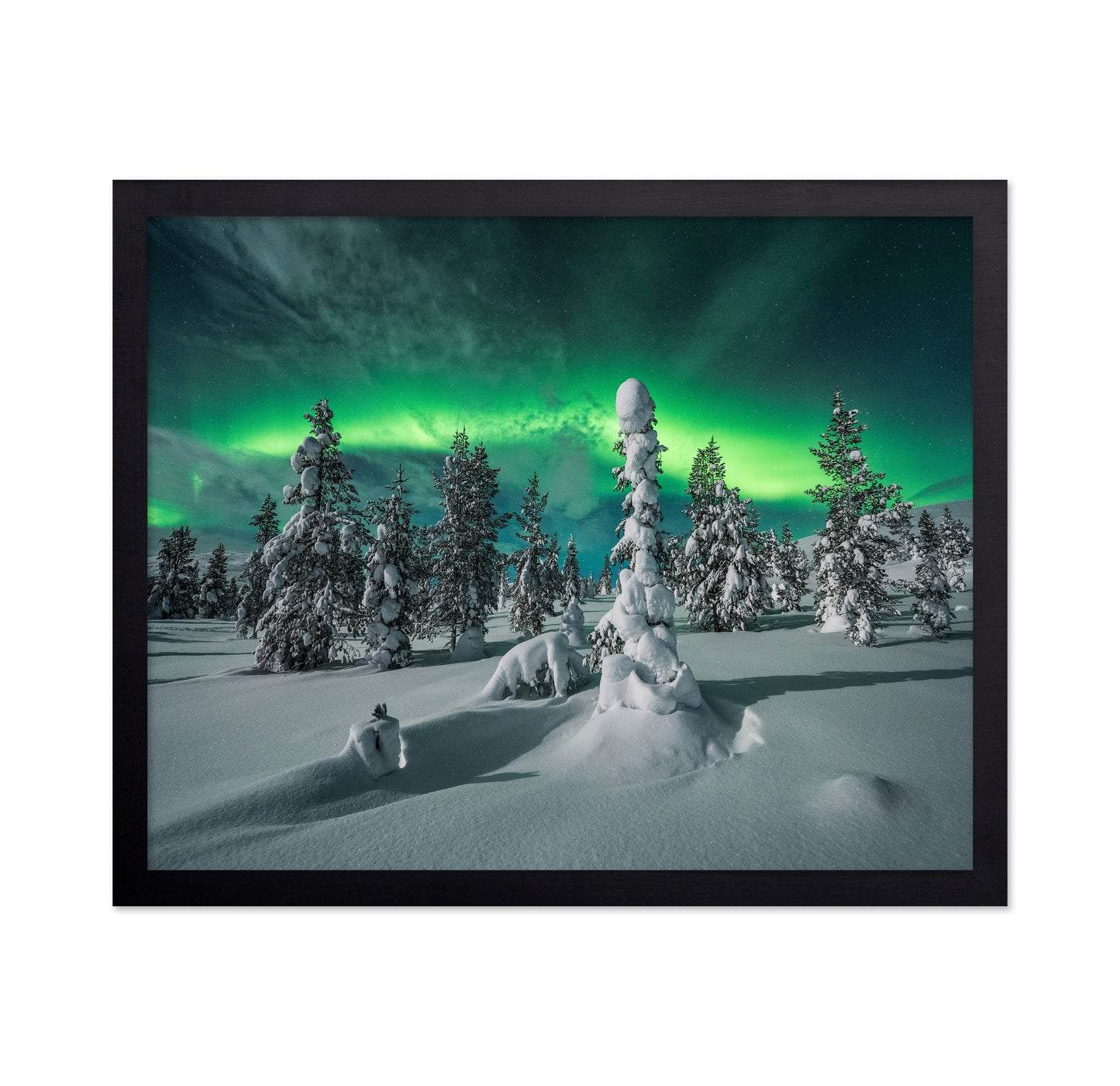 Northern Lights Snowy Fores