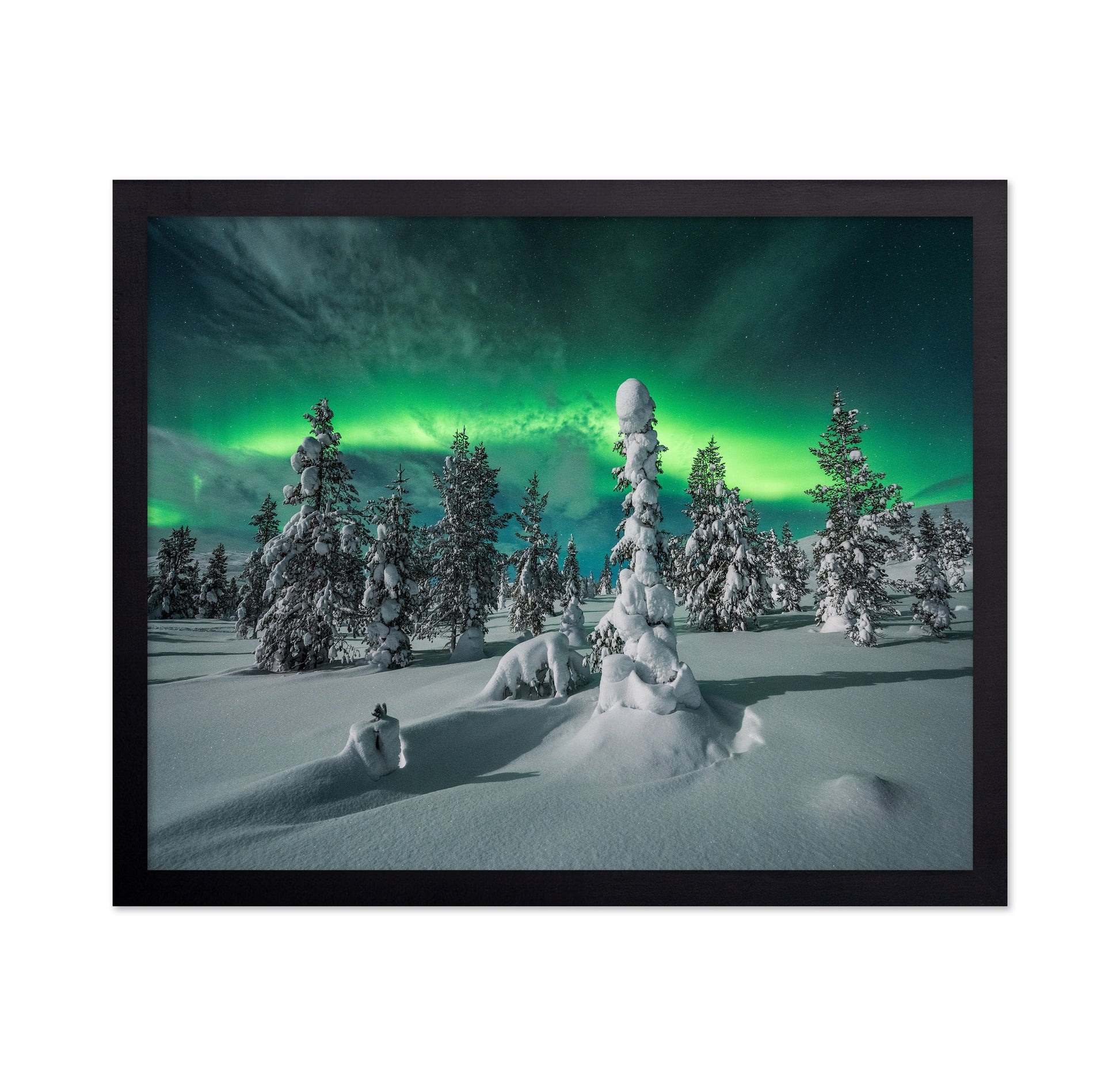 Northern Lights Snowy Fores