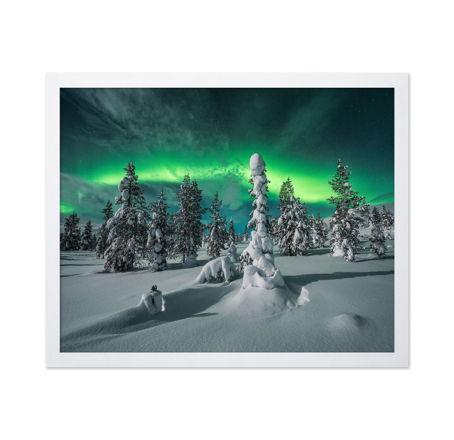 Northern Lights Snowy Fores