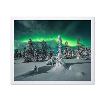 Northern Lights Snowy Fores