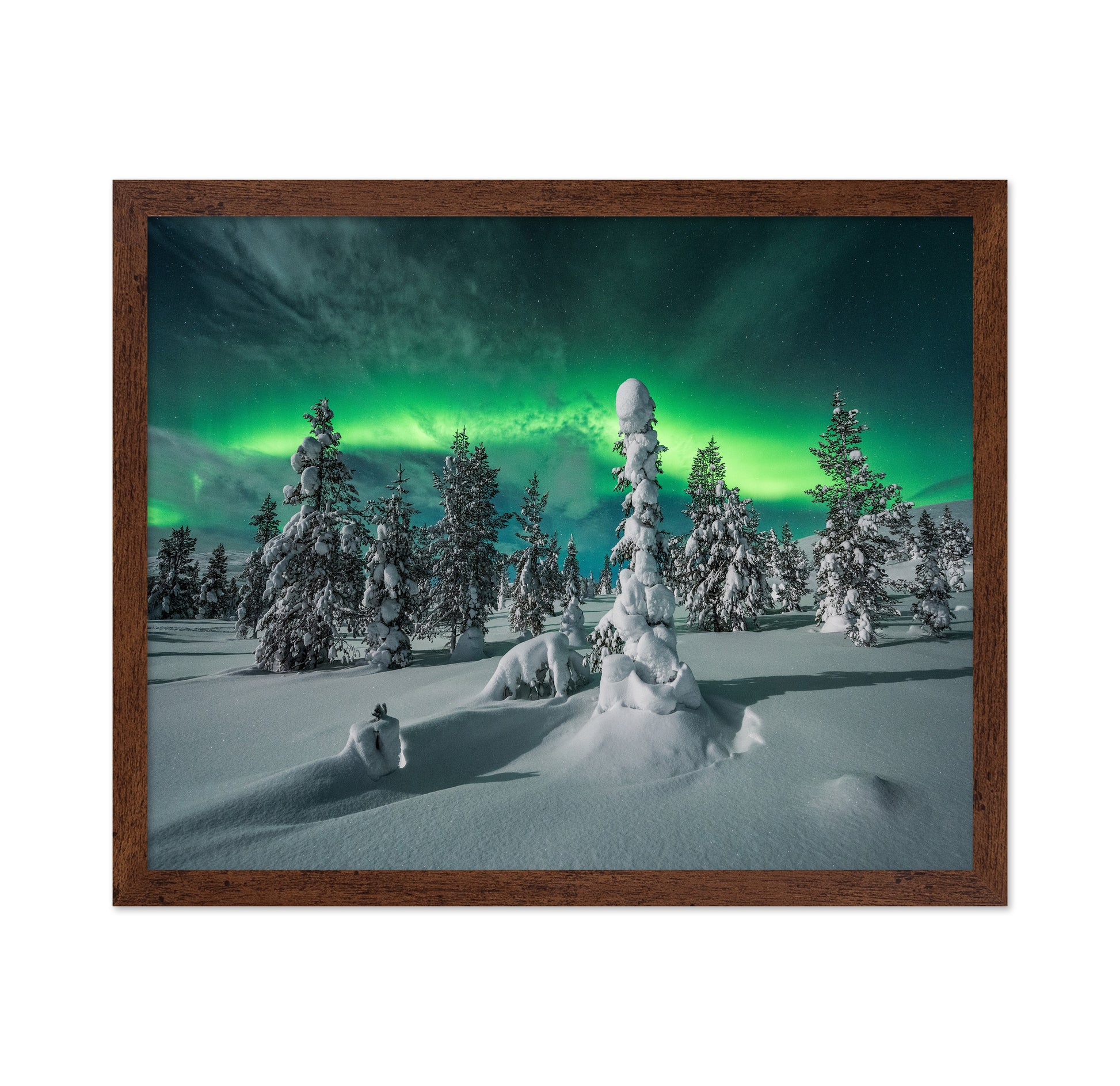 Northern Lights Snowy Fores
