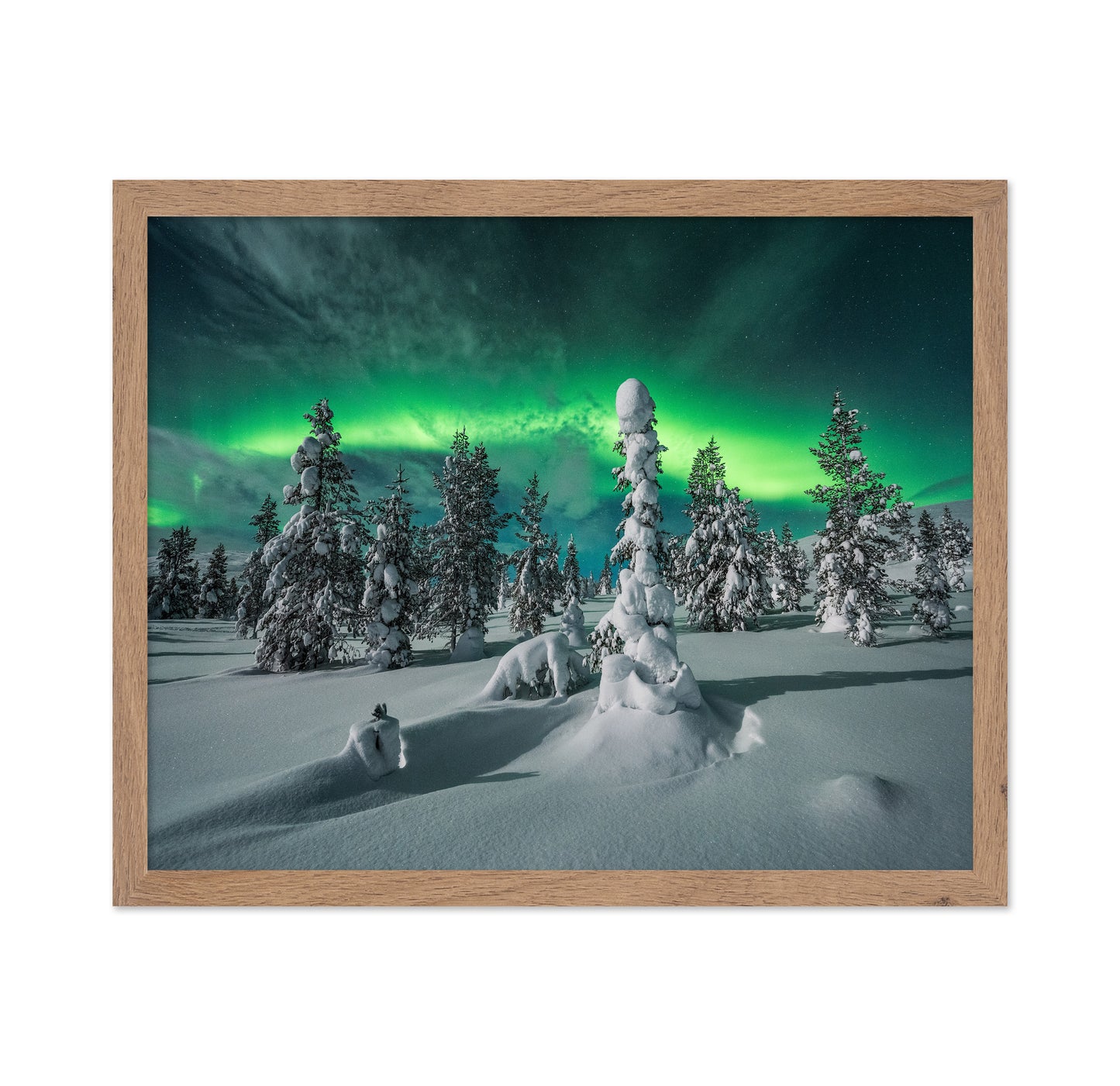 Northern Lights Snowy Fores