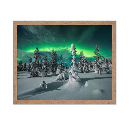 Northern Lights Snowy Fores