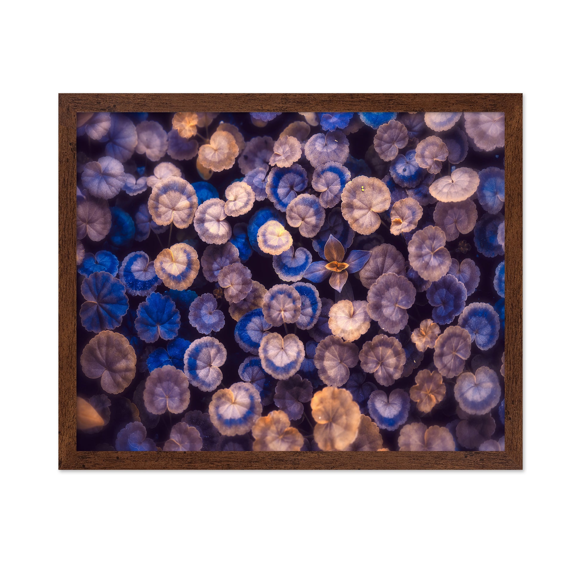 Blue Botanical Leaf Pattern