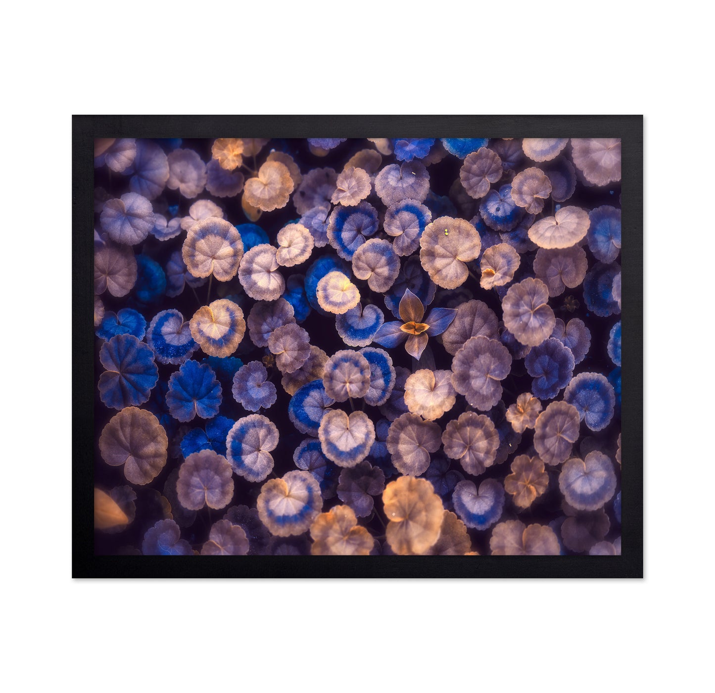 Blue Botanical Leaf Pattern