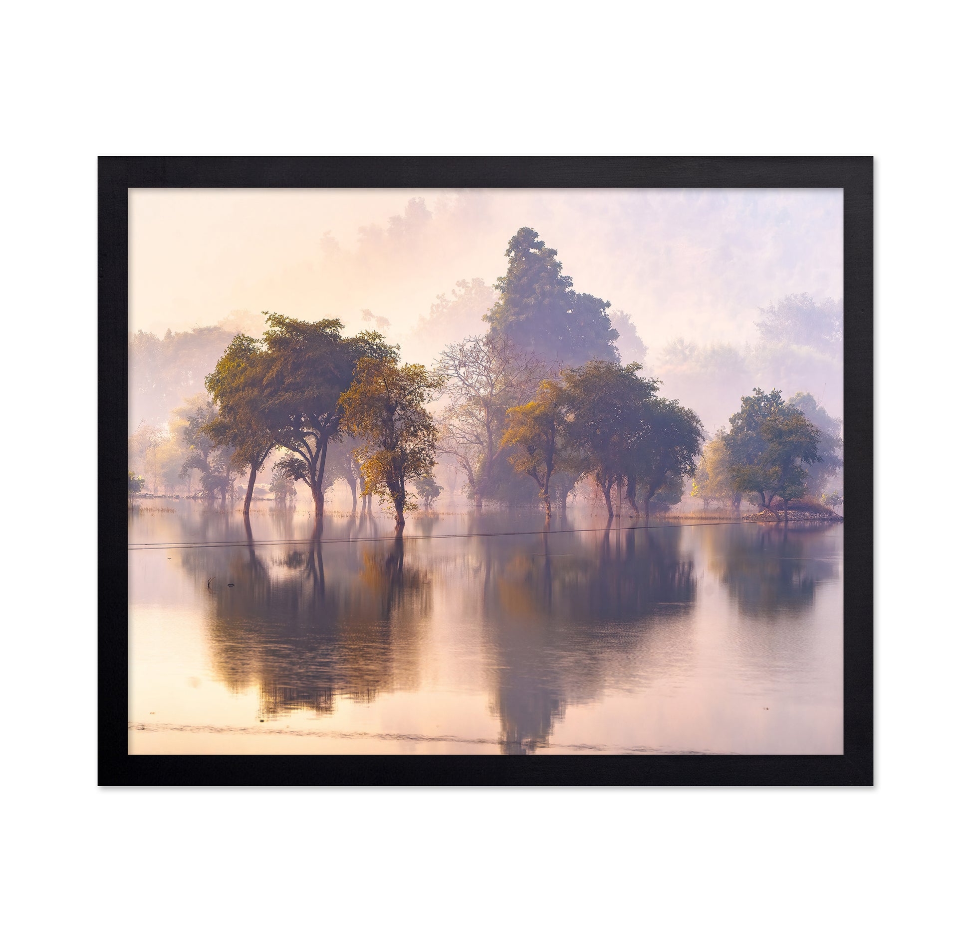 Misty Lake Tree Reflections