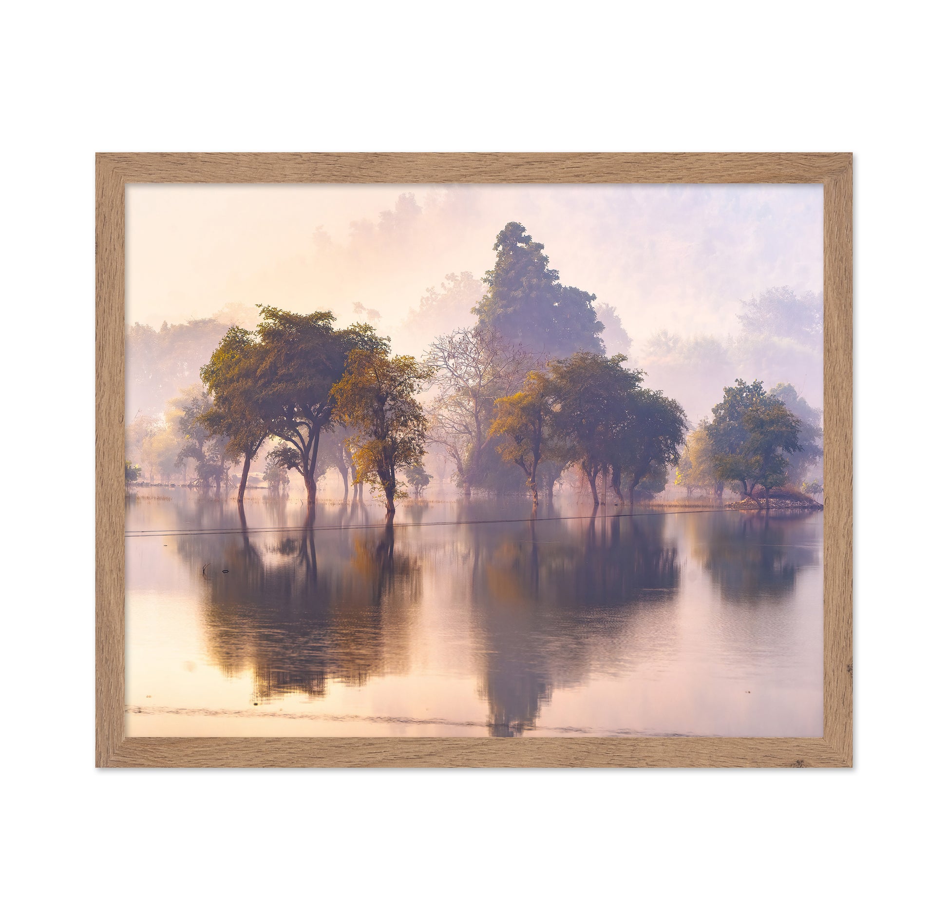 Misty Lake Tree Reflections