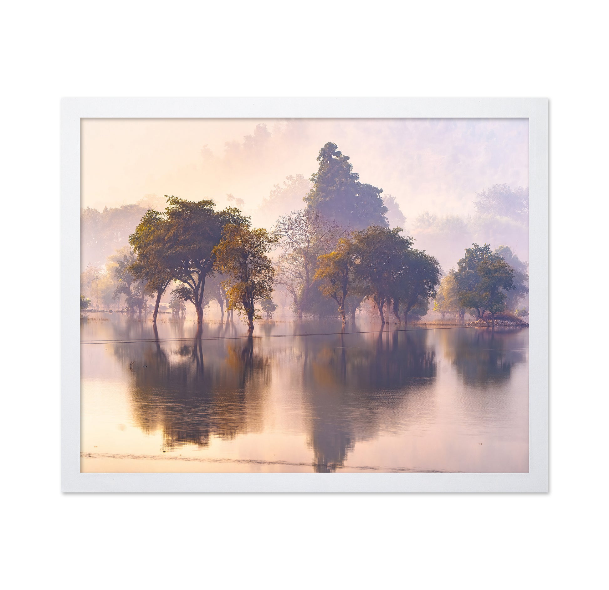 Misty Lake Tree Reflections