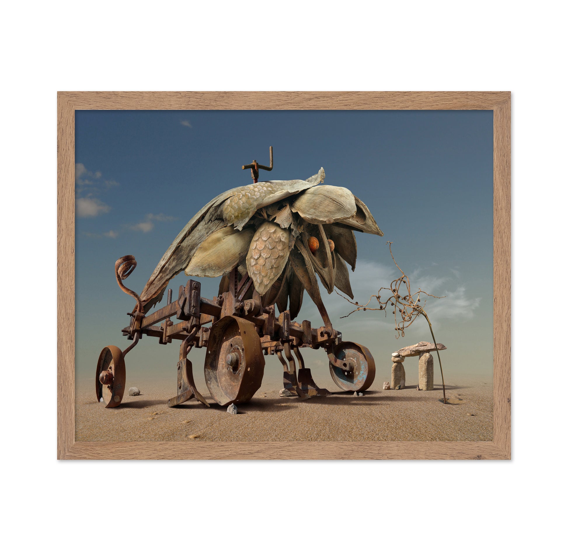 Surreal Desert Machine