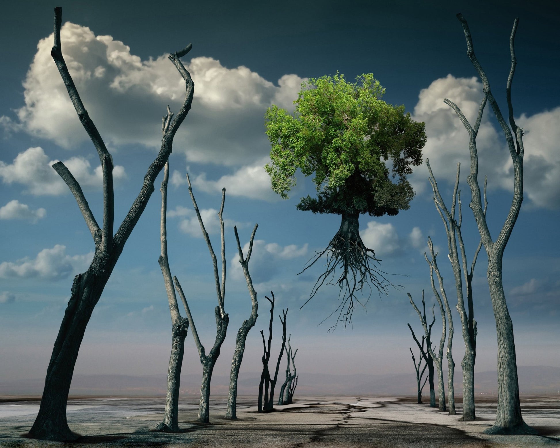 Floating Tree