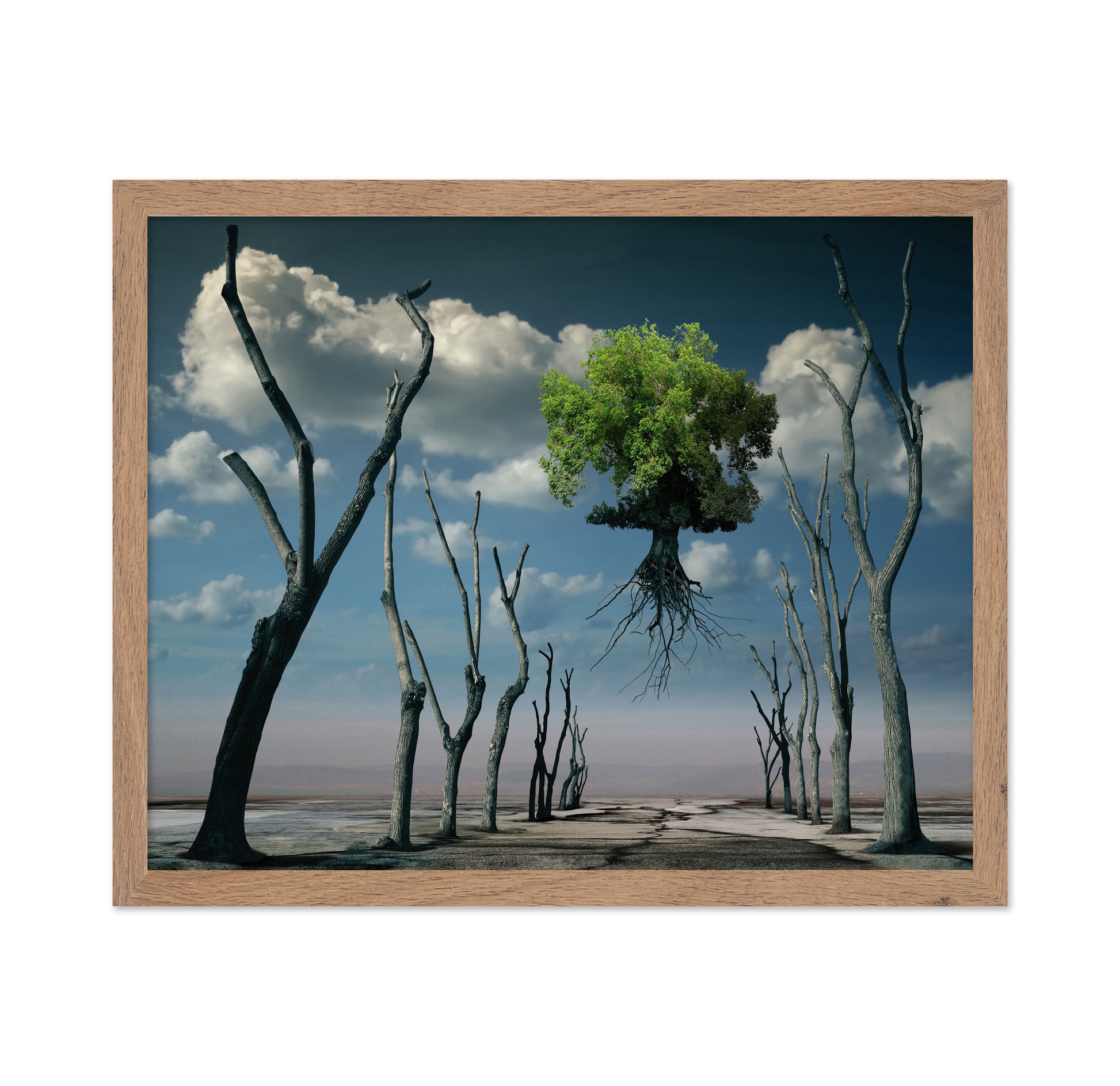 Floating Tree
