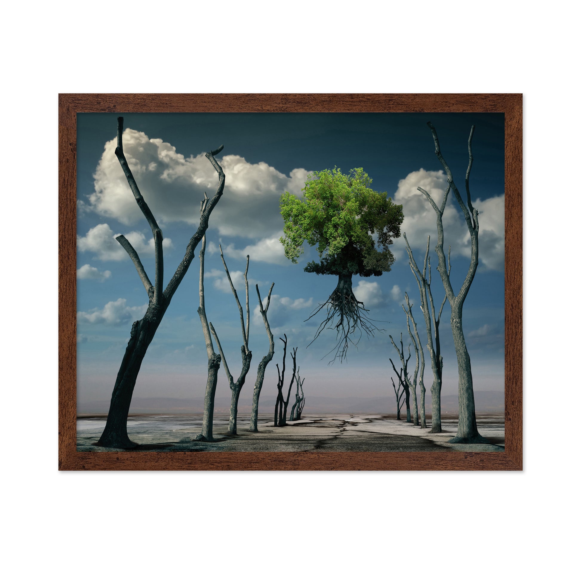 Floating Tree