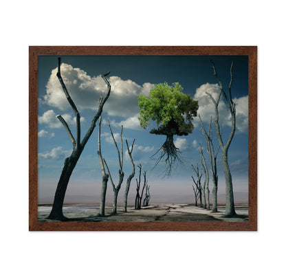Floating Tree