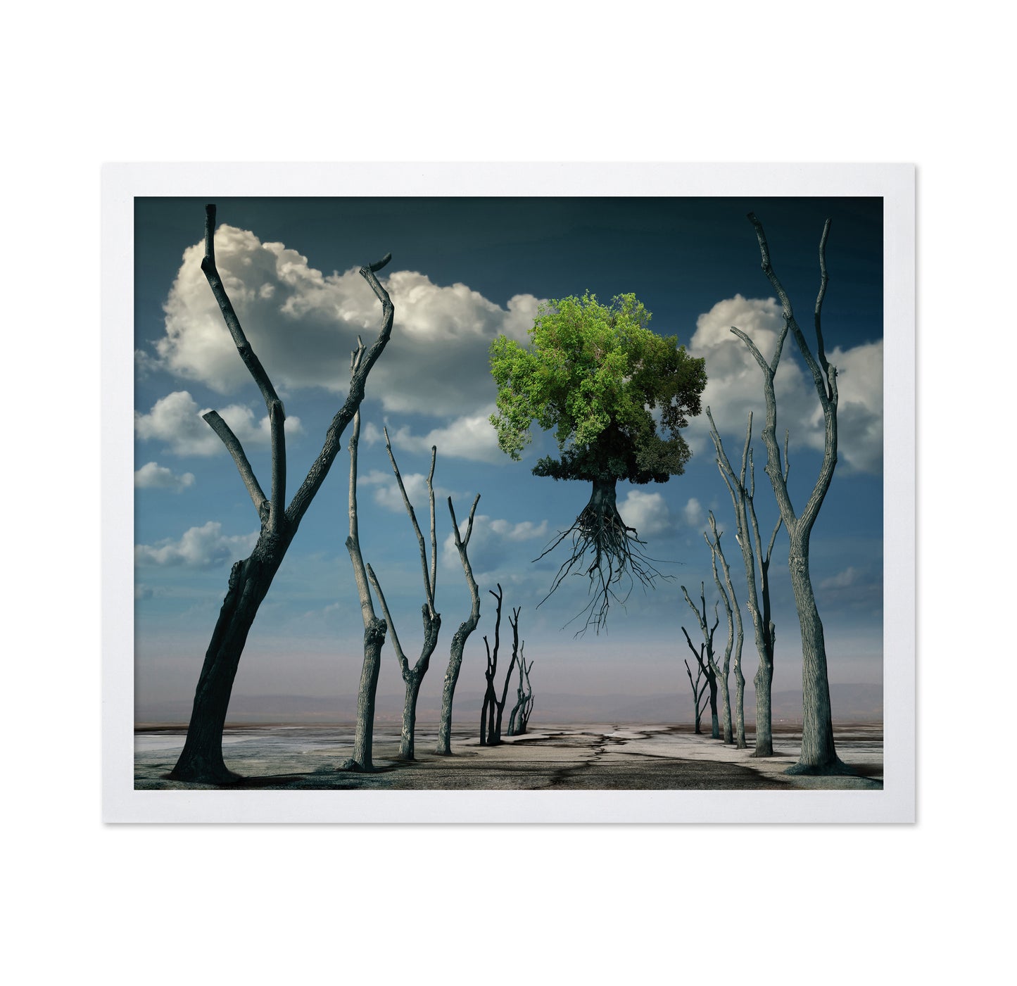 Floating Tree