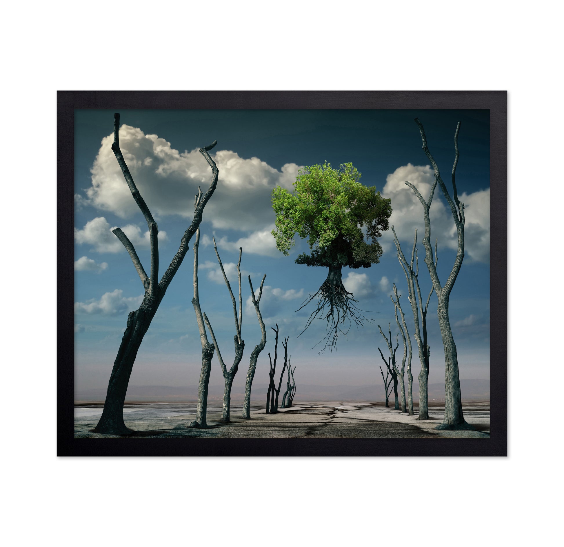 Floating Tree