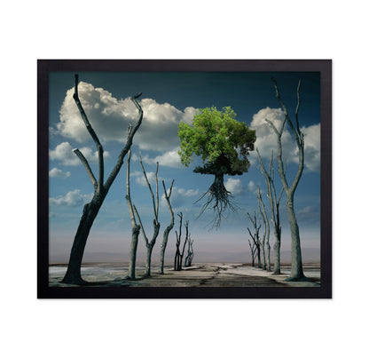 Floating Tree