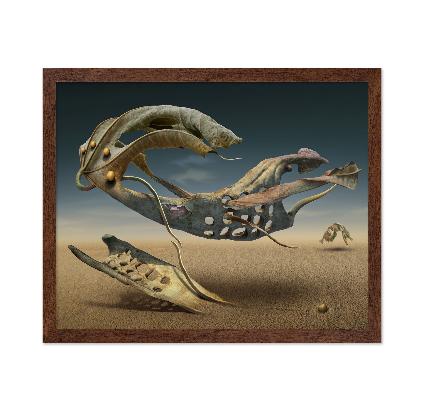 Surreal Desert Creature