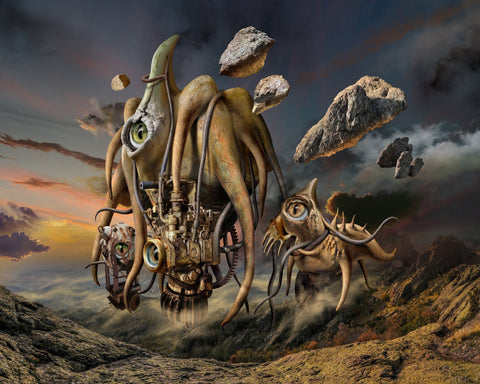 Mountain Eye Creatures