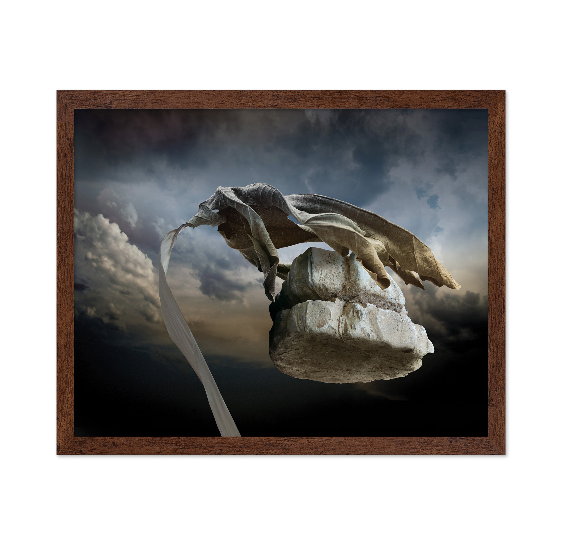 Floating Desert Cloth