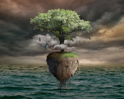 Floating Island Tree