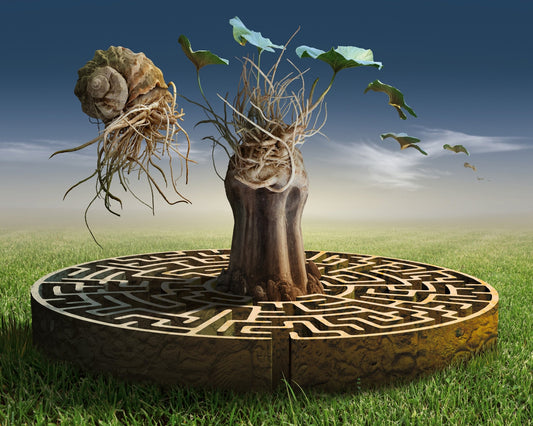Root Labyrinth Tree