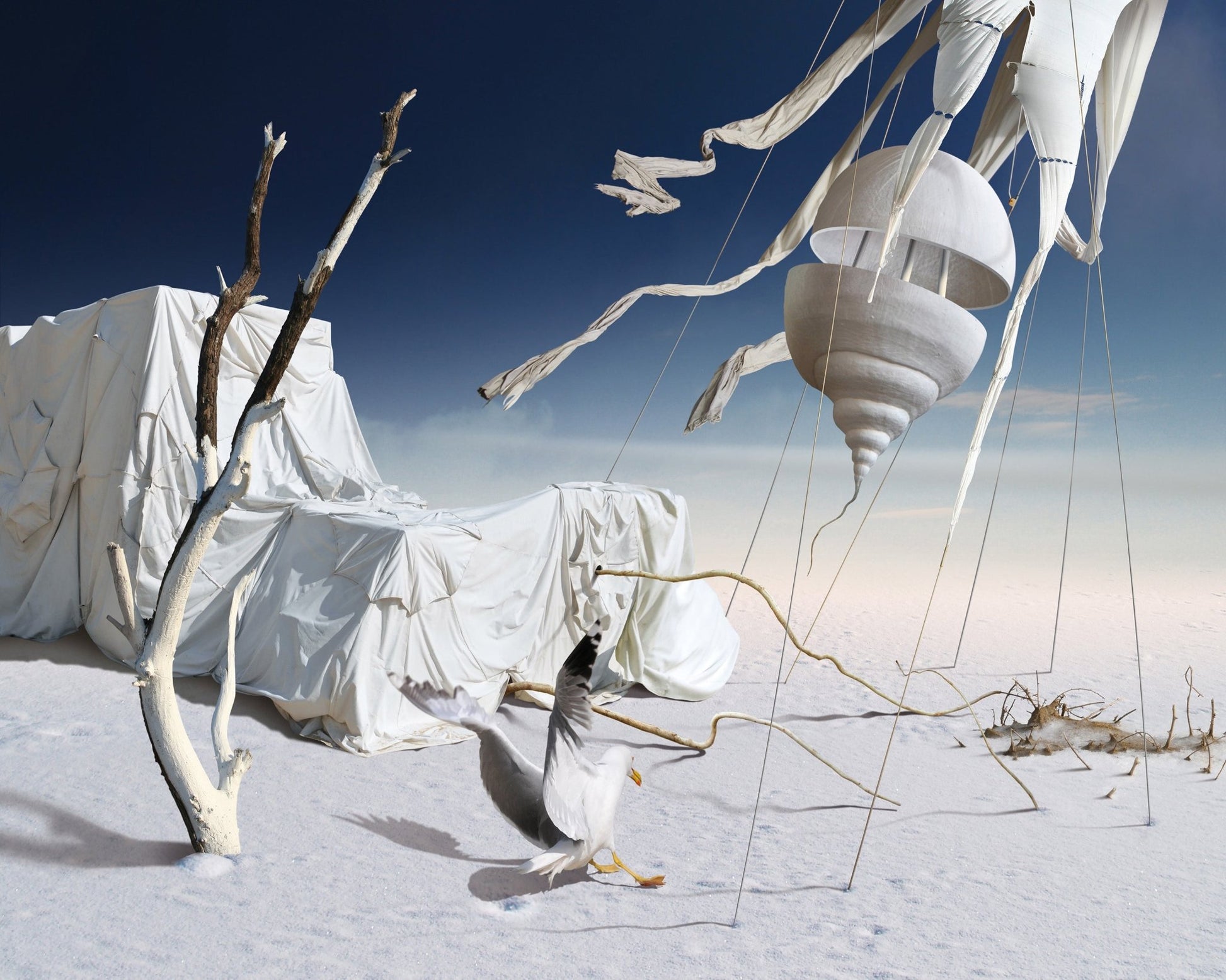 White Desert Dream