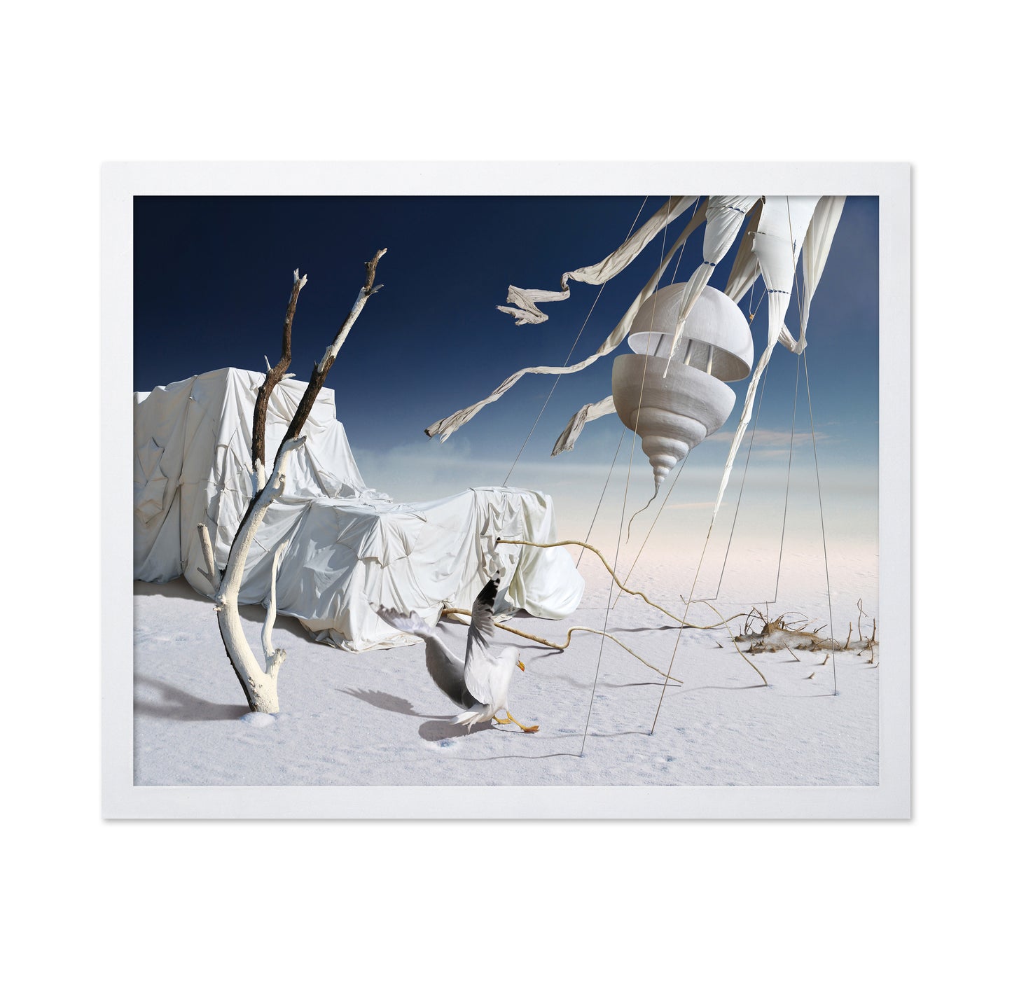 White Desert Dream