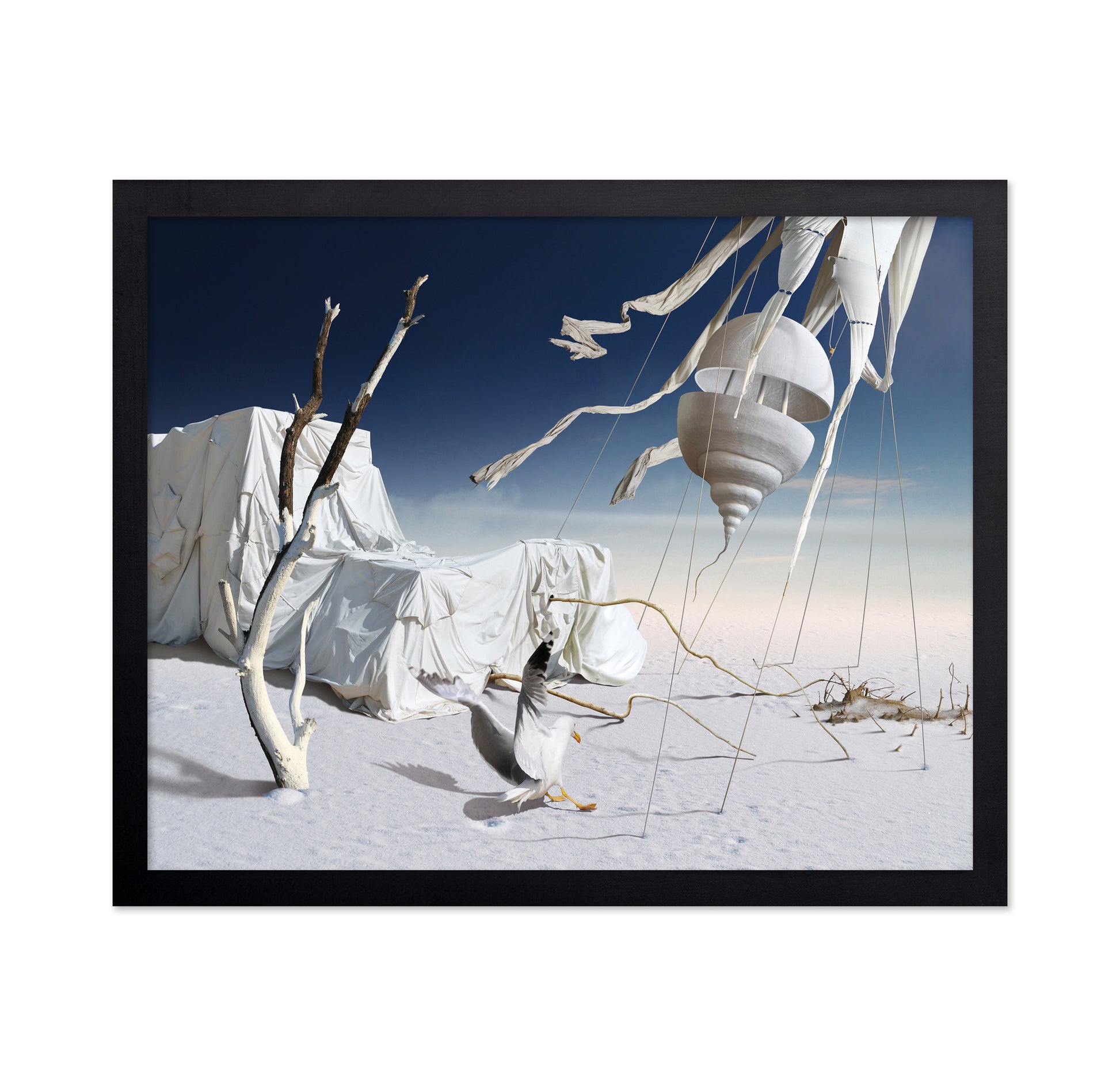 White Desert Dream