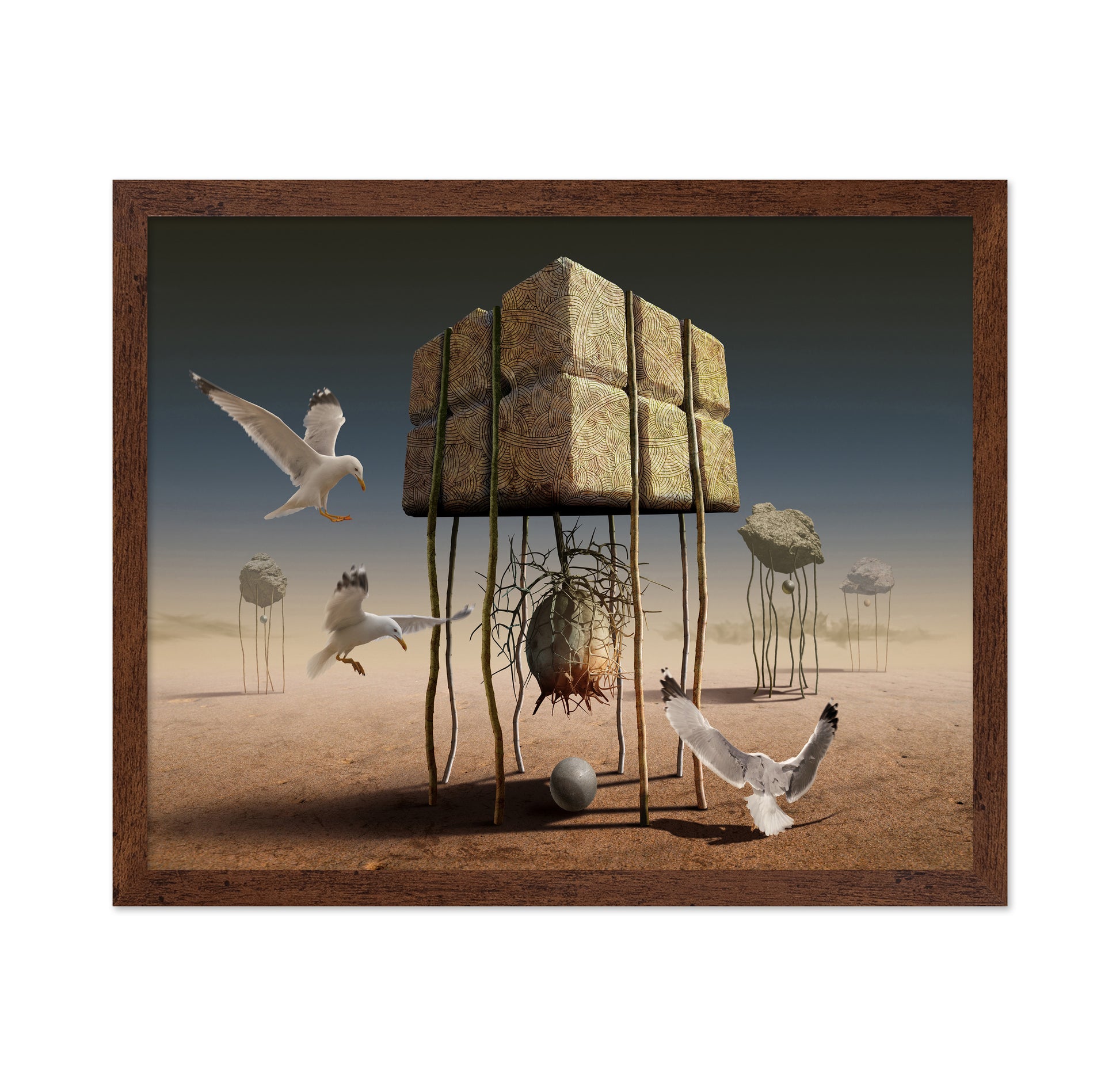 Desert Nest Structure