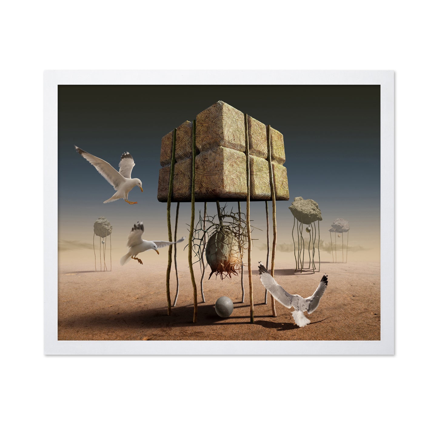 Desert Nest Structure