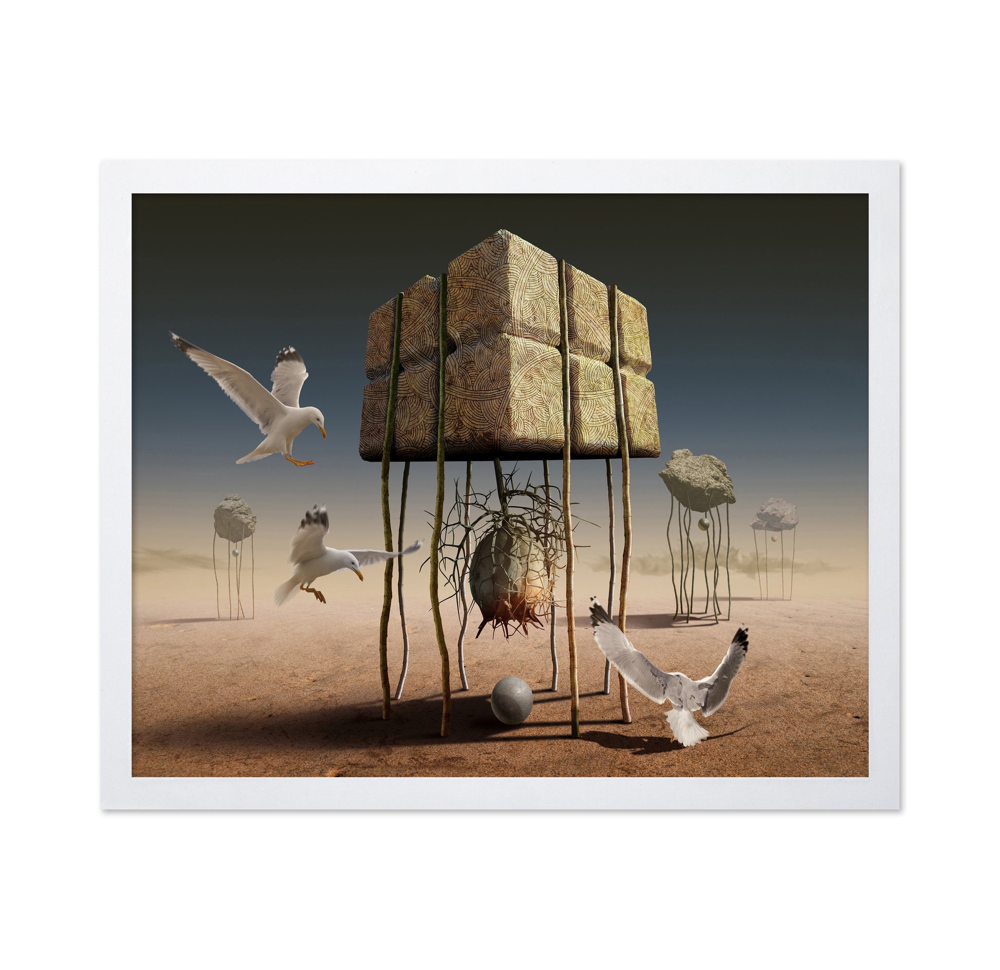 Desert Nest Structure