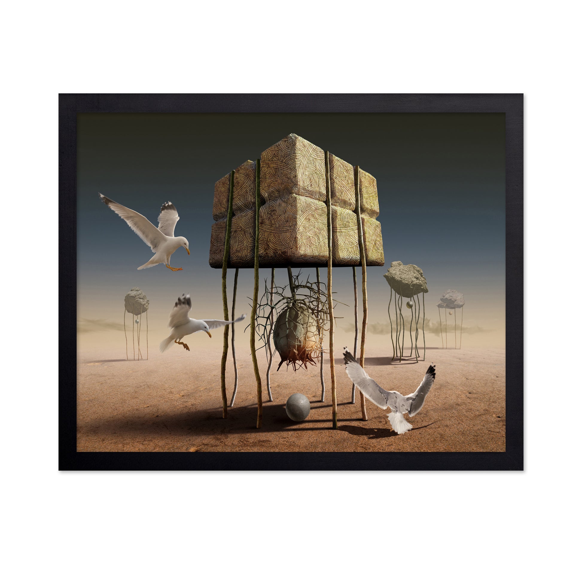 Desert Nest Structure