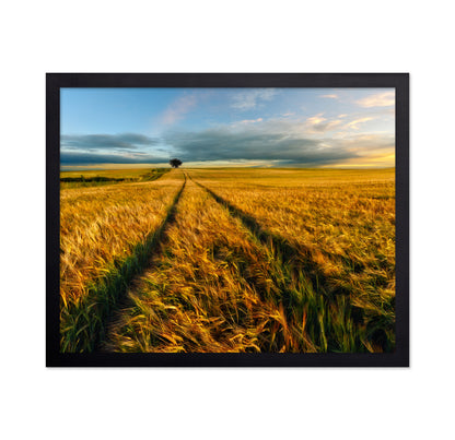Golden Field Path No1