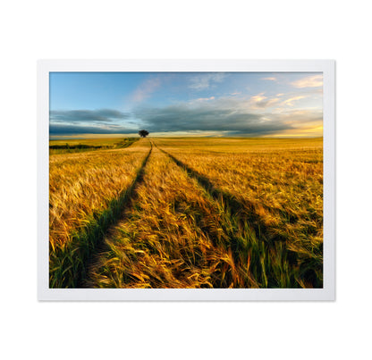 Golden Field Path No1