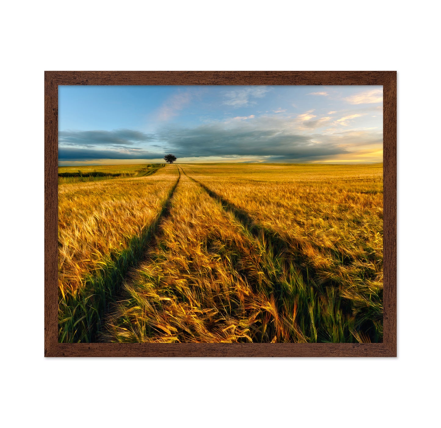 Golden Field Path No1