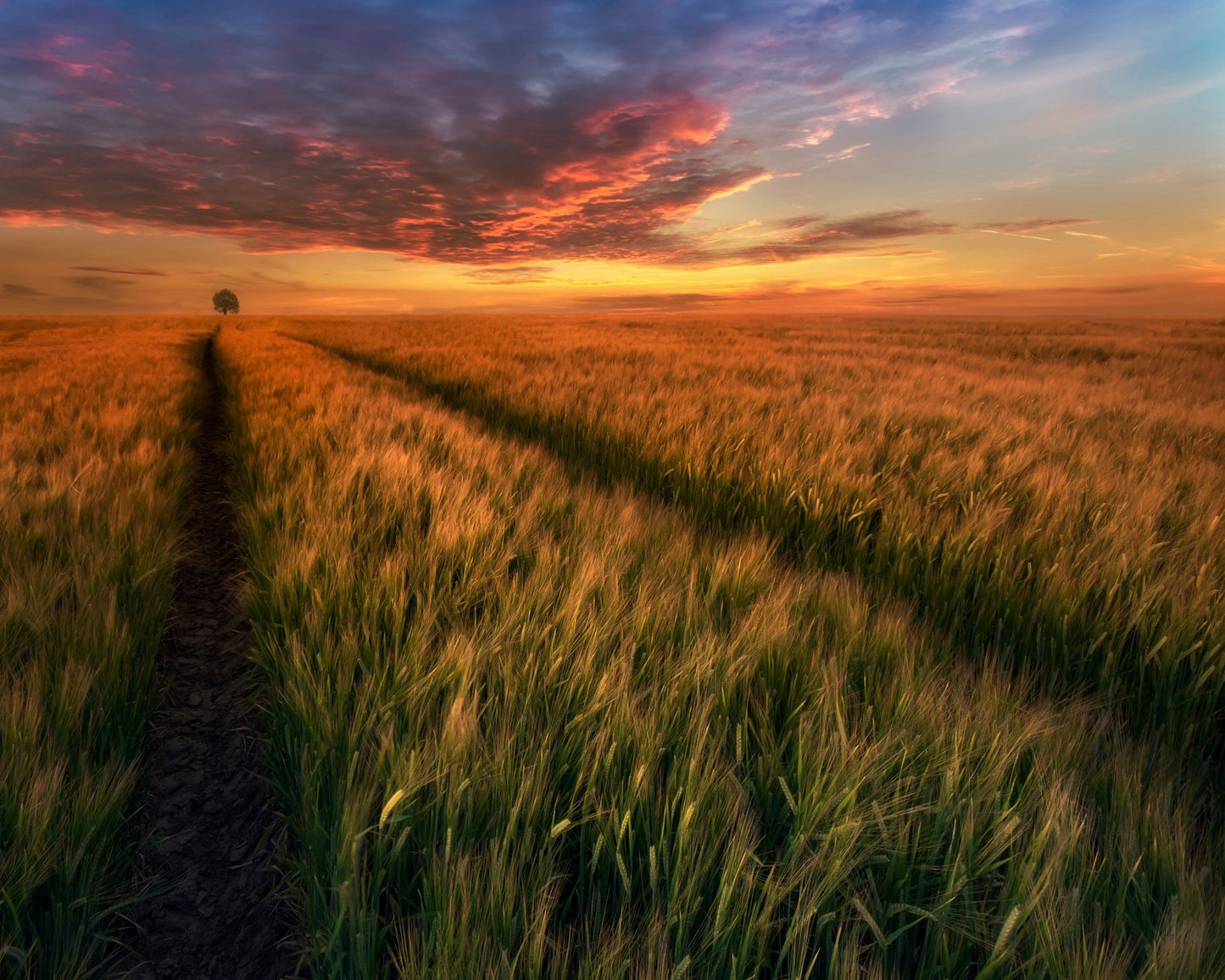 Sunset Field Horizon